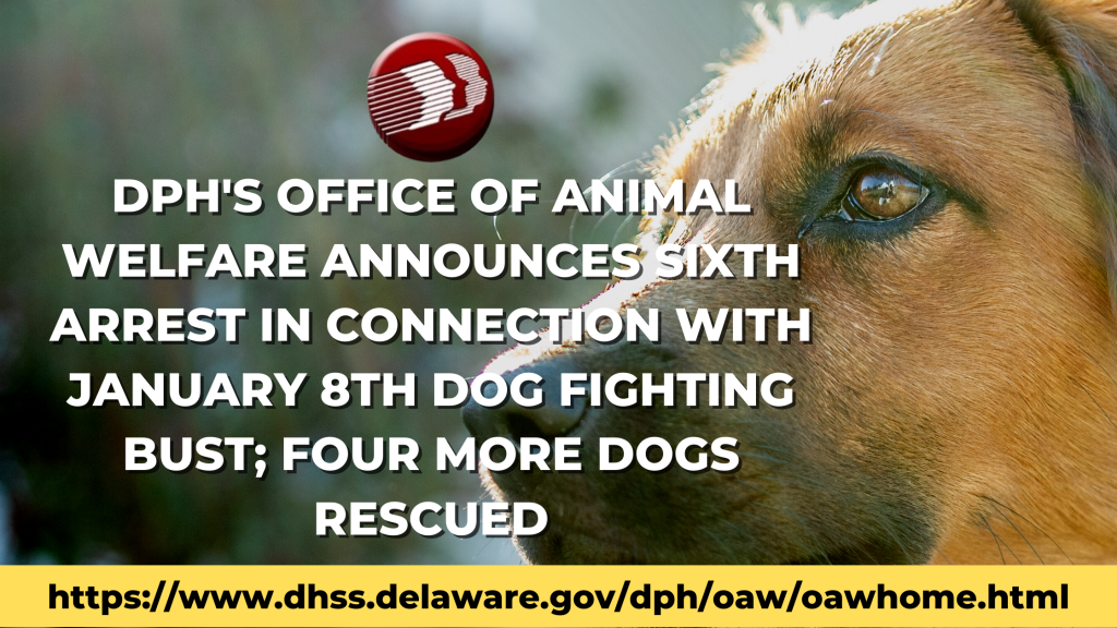 DPH's Office of Animal Welfare Announces Sixth Arrest In Connection With  January 8th Dog Fighting Bust; 4 Dogs Rescued - State of Delaware News