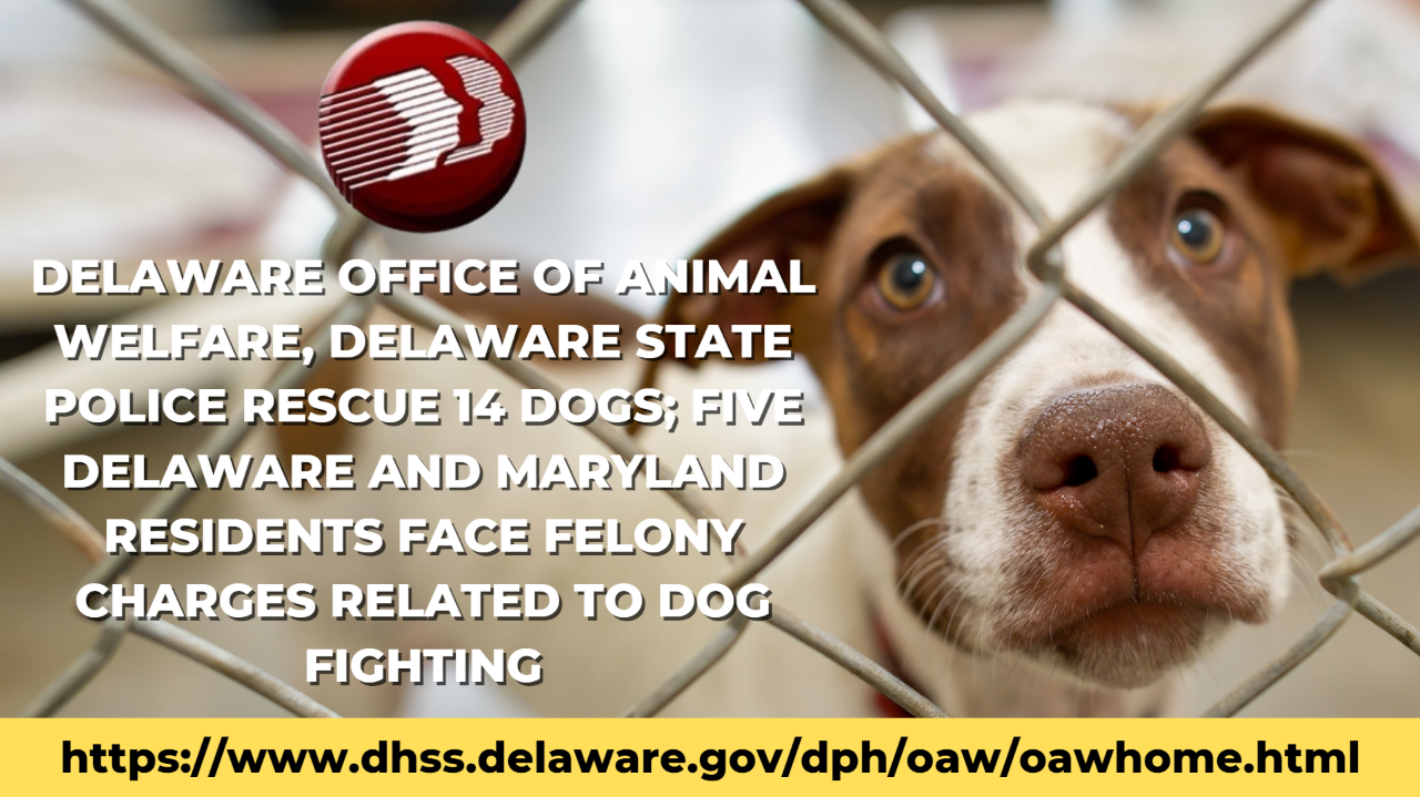 Delaware Office of Animal Welfare, Delaware State Police Rescue 14 Dogs; Five Delaware and Maryland Residents Face Felony Charges Related to Dog Fighting