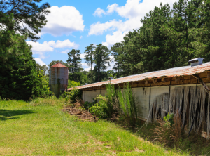 An abandoned poultry house covered in rust sits in a field surrounded by trees and blue sky.