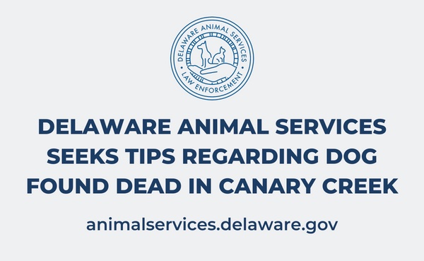 Delaware Animal Services Seeks Tips Regarding Dog Found Dead in Canary Creek