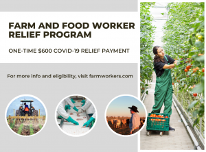 Farm and Food Worker Relief Program, One-time $600 COVID-19 Relief Payment, For more info and eligibility, visit farmworkers.com, Includes picture of person on tractor planting vegetables, hands of poultry workers with meat on the line, farmer with cattle, woman harvesting hydroponic tomatoes in a greenhouse