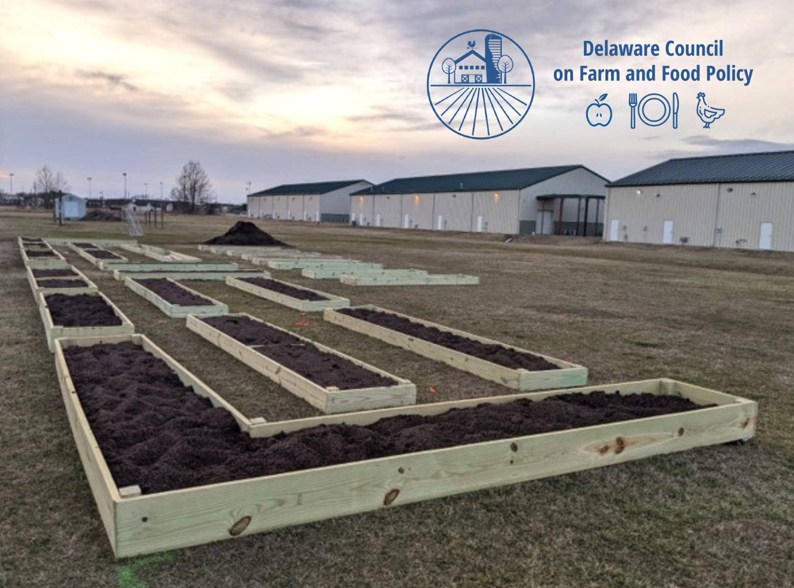 Raised beds just built and filled with soil in Seaford behind a housing development.