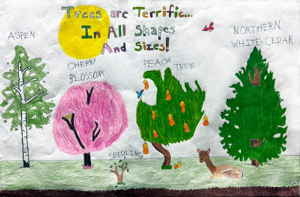 Brandywine Springs Student Wins Arbor Day Poster Contest