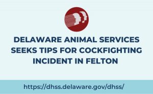 Delaware Animal Services Seeks Tips for Cockfighting Incident in Felton