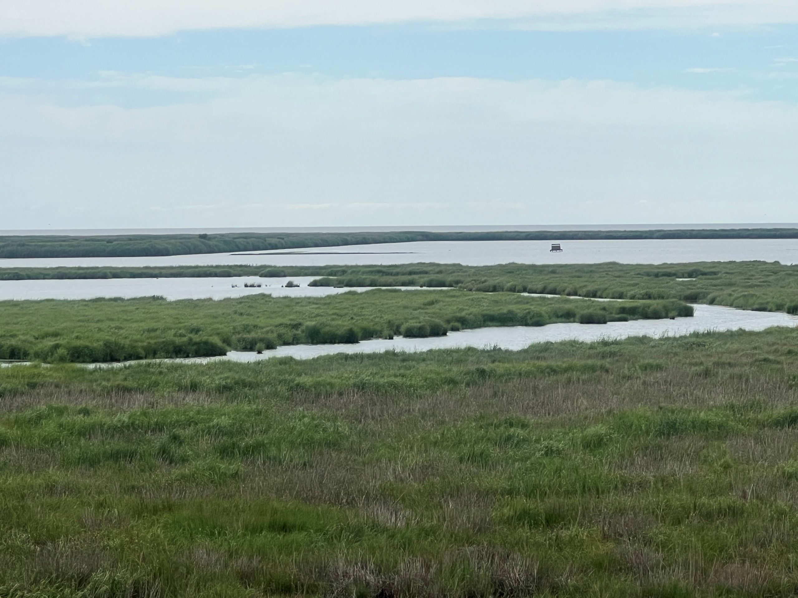 The main impoundment on the Little Creek Wildlife Area