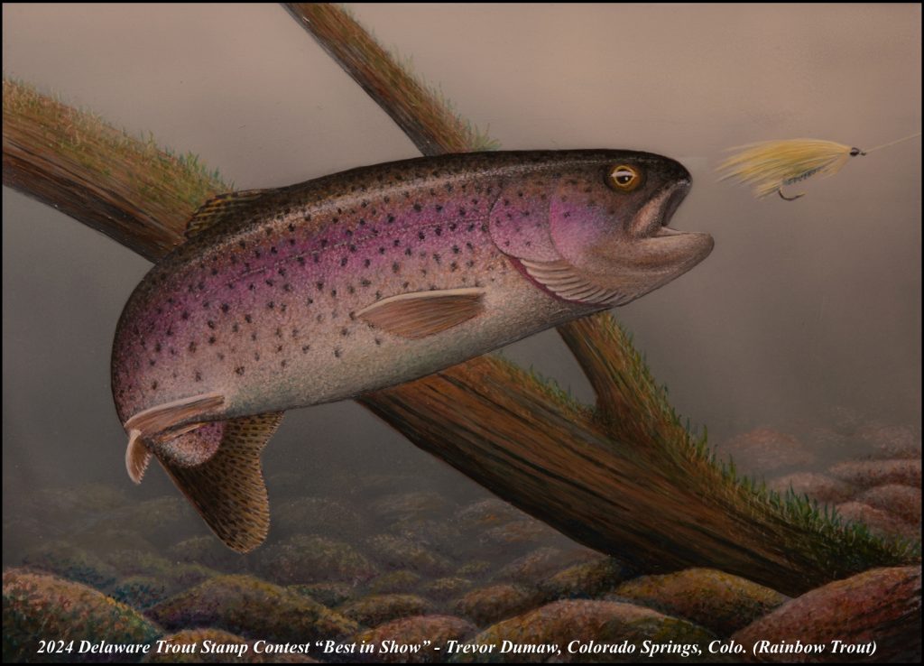 2024 DE Trout Stamp Contest winning stamp picturing a rainbow trout following a lure