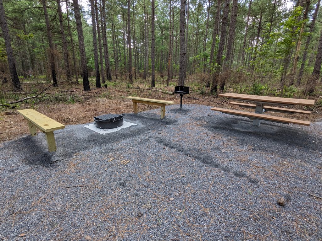 Campsite amenities at Redden State Forest