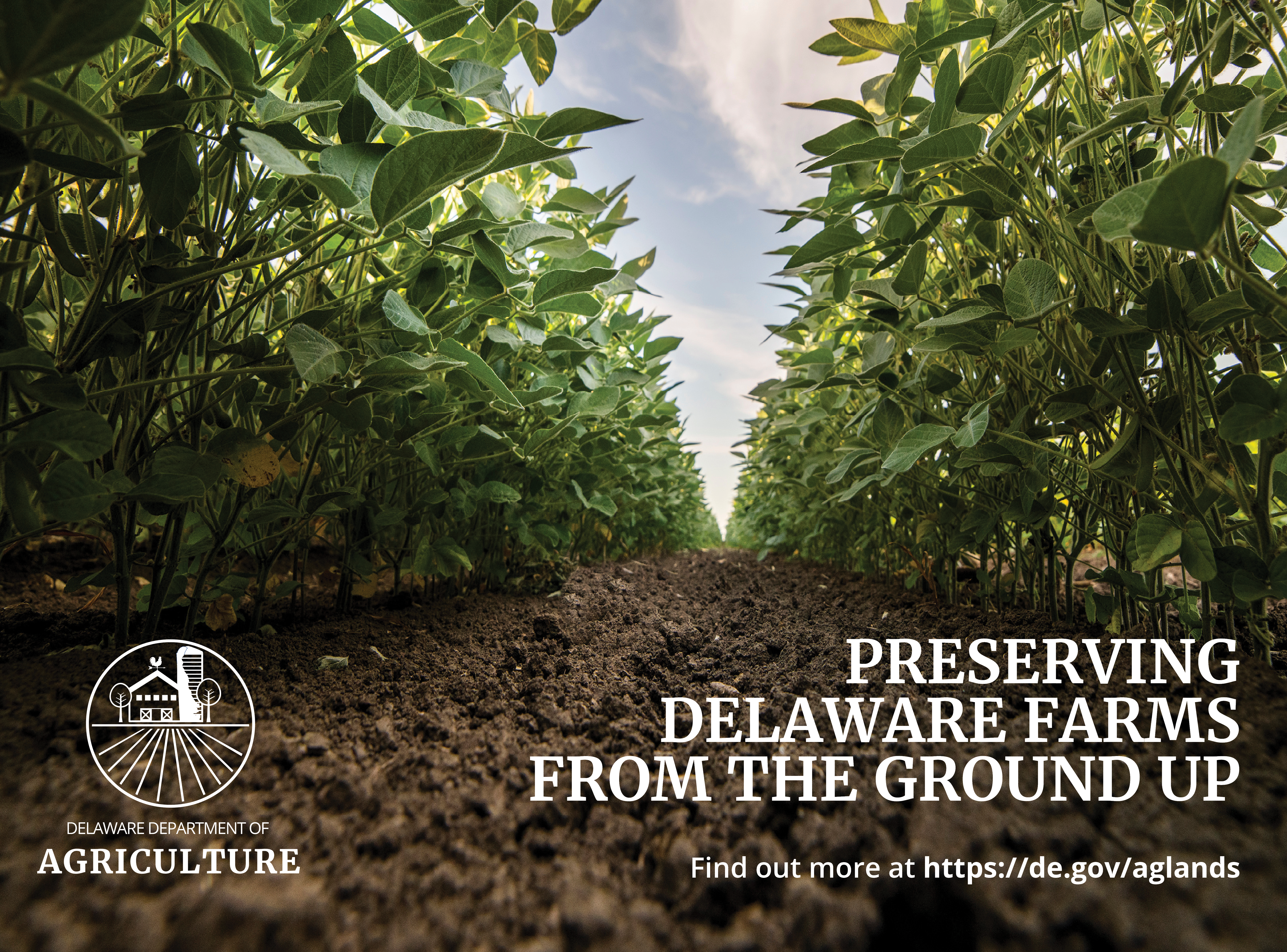 Looking down a row of soybeans with the Delaware Department of Agriculture logo, Text: Preserving Delaware Farms From the Ground Up, Find out more at https://de.gov/aglands