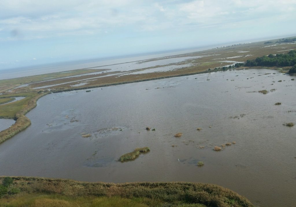 Impoundment Dike Repairs Likely to Mean Partial Closures of Little