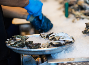 Person wearing gloves shucking oysters and placing the open oysters on ice.