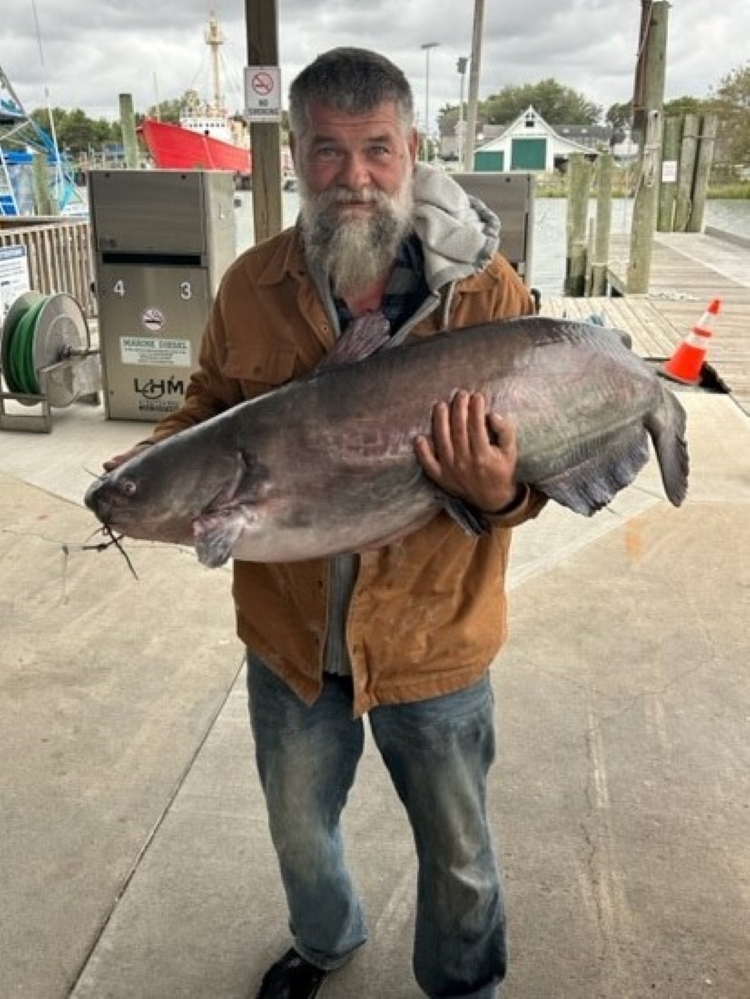 Angler proudly holds record catfish in his arms.