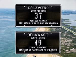 two black license plates featuring numbers 37 and 49 are shown above a bird's eye view of the Delaware Coastline.