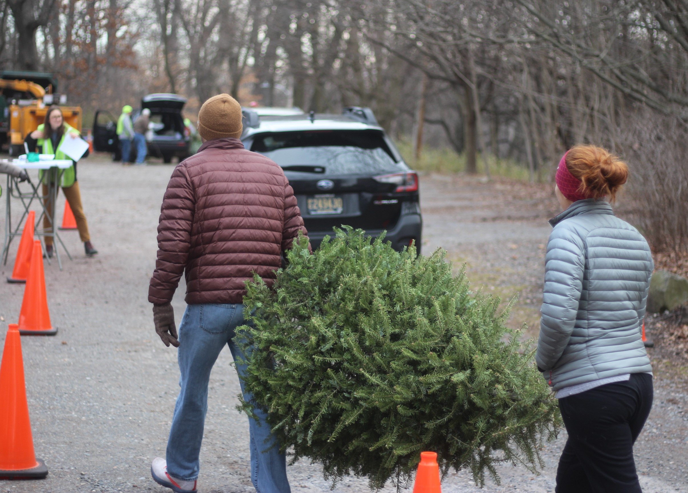 Two people carry a Christmas tree to a wood chipper.
