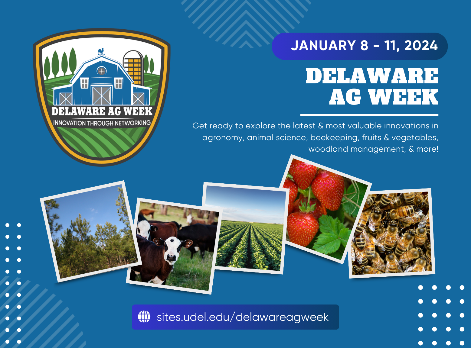 January 8-11, 2024, Delaware Ag Week, Get ready to explore the latest and most valuable innovations in agronomy, animal science, beekeeping, fruits and vegetables, woodland management, and more! sites.udel.edu/delawareagweek