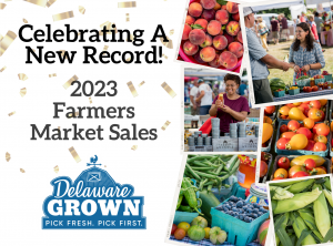 Celebrating a New Record! 2023 Farmers Market Sales. Delaware Grown logo. Individual photos taken at Delaware farmers market: peaches, farmer and woman looking at sweet corn, woman looking at honey, cherry tomatoes in quarts, Delaware Grown medley of specialty crops, sweet corn in husk piled on table