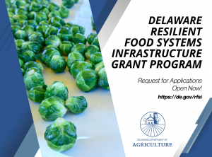 Green brussel sprouts moving down a conveyer belt during processing, with the words on the right "Delaware Resilient Food Systems Infrastructure Grant Program, Request for Applications Open Now!, https://de.gov/rfsi, with Delaware Department of Agriculture logo