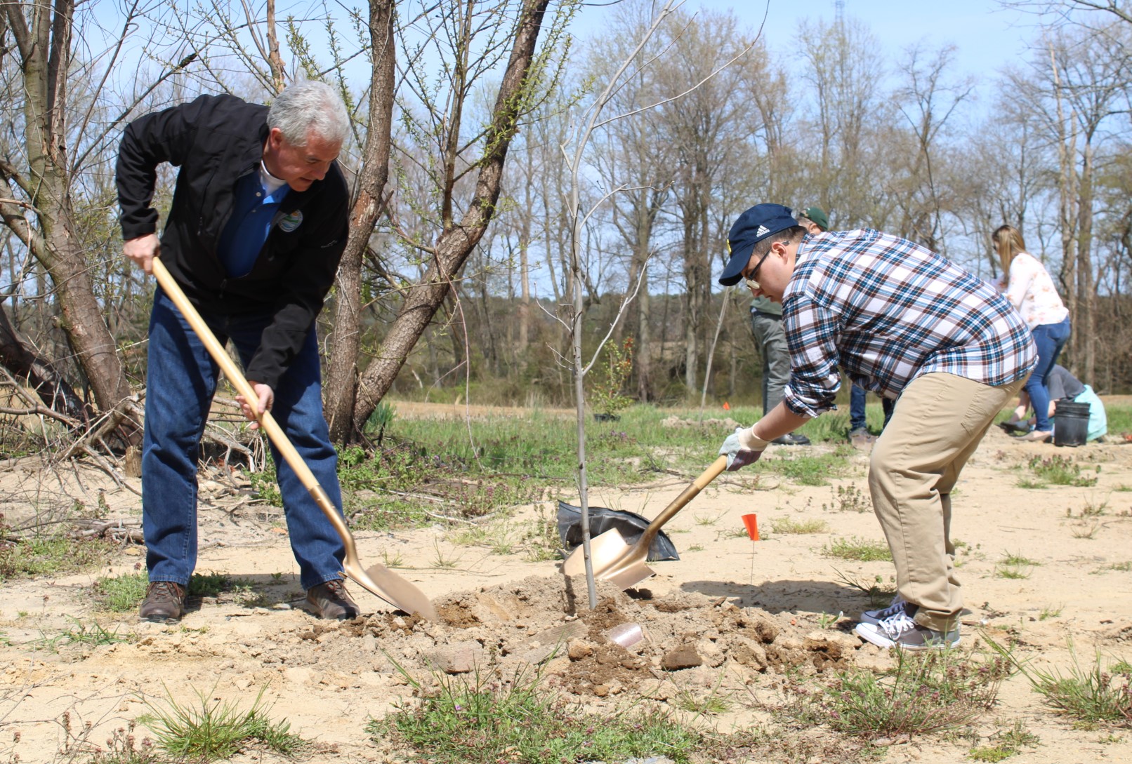 Two men covering the roots of a planted seedling with soil.