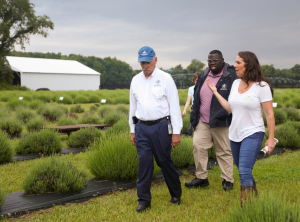 Secretary Michael T. Scuse walks through lavender fields at with Laura Brittingham and Deputy Principal George Class-Peters at Brittingham Farms.