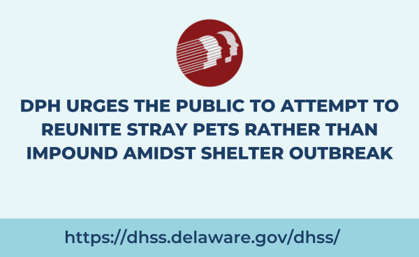 DPH Urges the Public to Attempt to Reunite Stray Pets