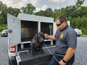 Dog with DAS officer.