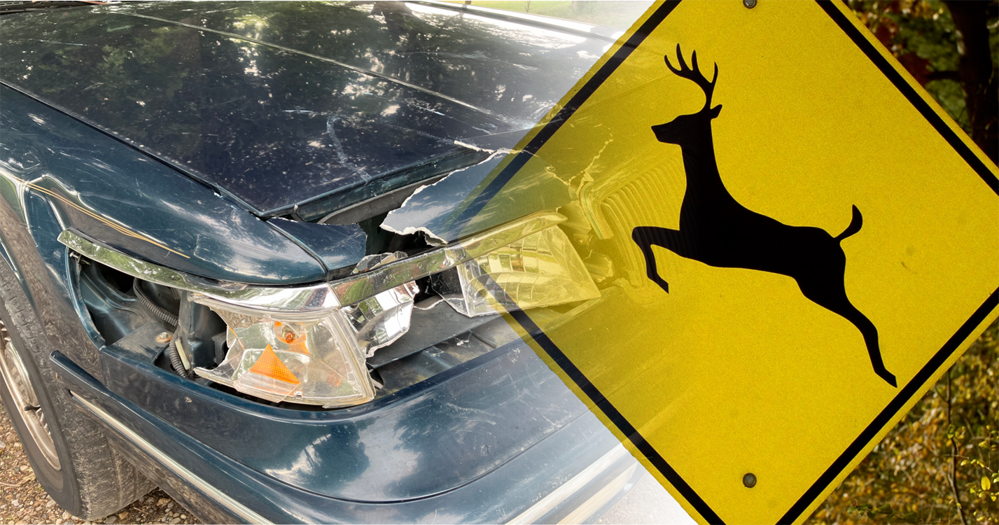 A deer crossing sign and a damaged car