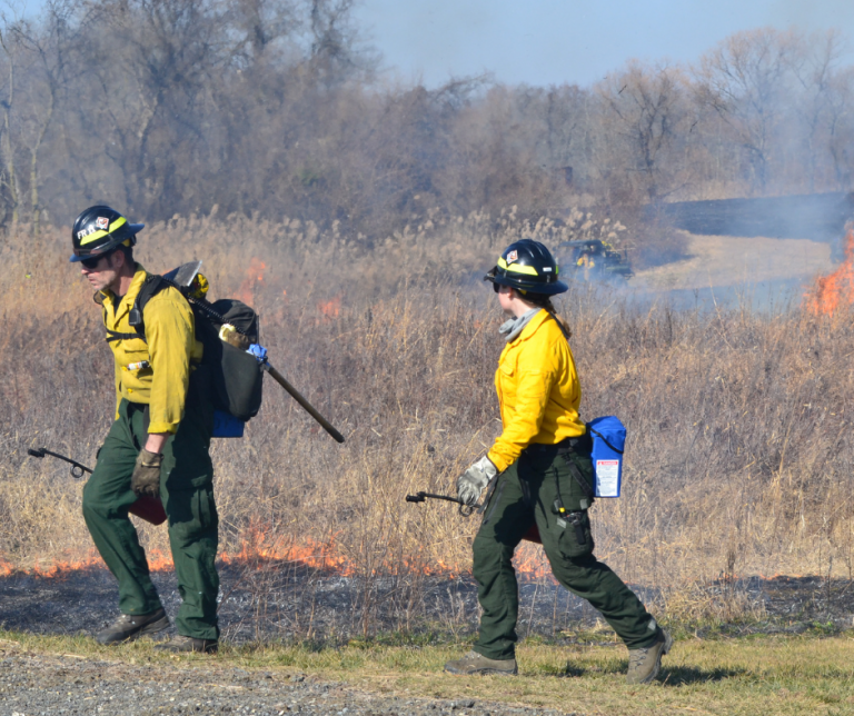 “Learn & Burn” Workshop at Redden State Forest