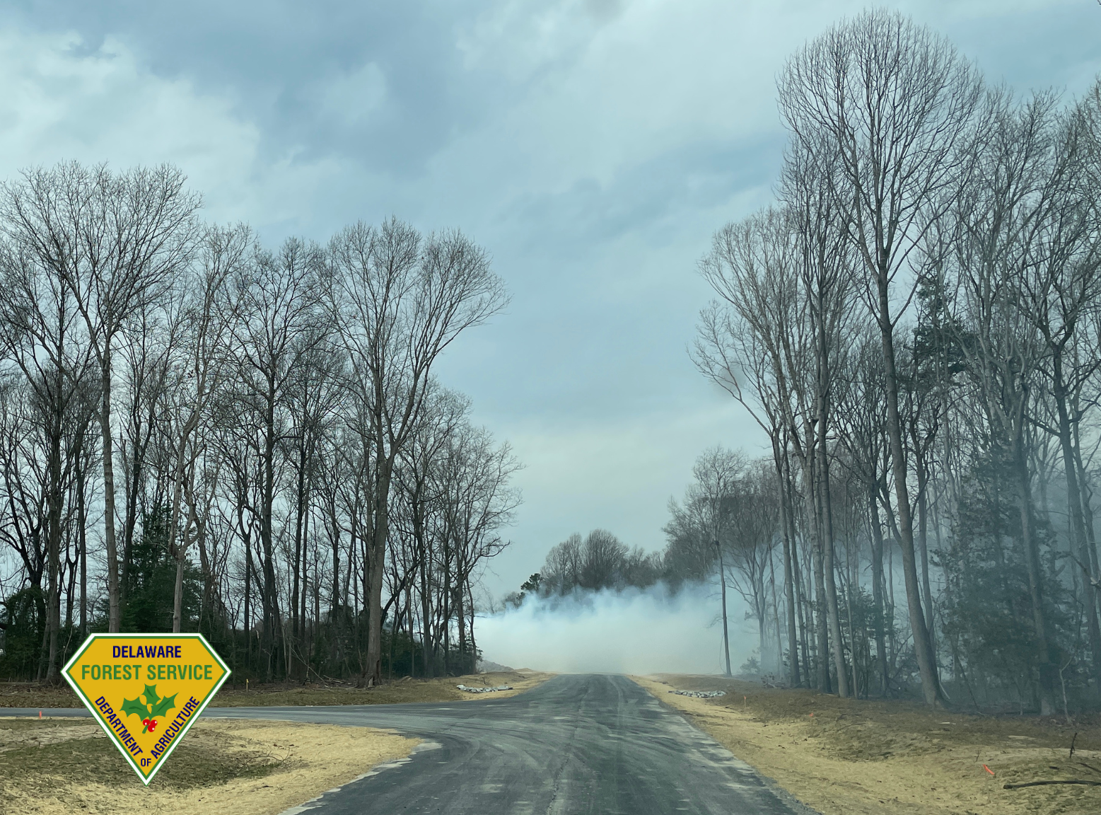 Smoke blows across a street from a wildfire on a partially sunny day in Delaware, with trees along the road.