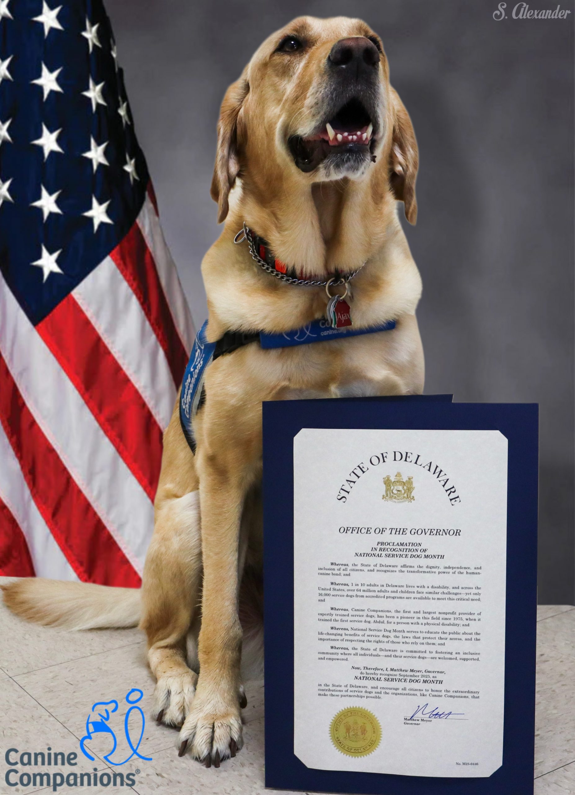 Canine Companions Facility Dog, Ajax