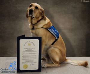 Canine Companions Facility Dog, Ajax