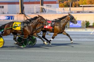 C Millertime Again (red saddlebag) racing alongside another horse (yellow saddlebag) in the DSBF final at Harrington Raceway.