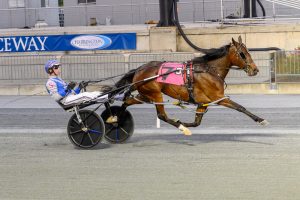 2-year-old pacing filly, Warren's Charm, taking the lead at DSBF Tuesday races. Adorned in a pink saddlepad with the number 7, driver is in blue, grey, red, and white.