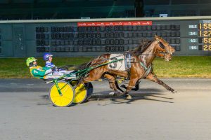 Odds On Put Option, driven by Tim Tetrick, edged Warrens Charm on Wednesday at Bally's Dover.