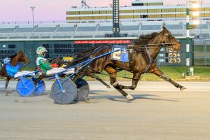 2 year old pacing colt, Roman Raider, competing in Delaware Standardbred Breeders' Fund series, wearing a blue saddlebag with the #2.
