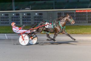 2-year-old pacing colt, Slugger On Deck, competes in Delaware Standardbred Breeders' Fund series, wearing a black saddlebag with the #5.