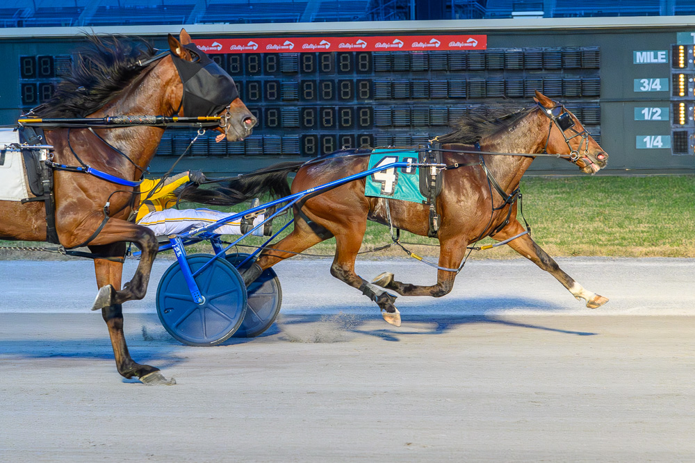 ‘Thiskiss’ wins second-round DSBF showdown from the Delaware Standardbred Breeders’ Fund
