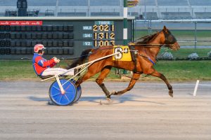 Topflight Champion, driven by Eddie Dennis, earned a 9-1/2-length, 2:02.1 win on Tuesday, Nov. 11.