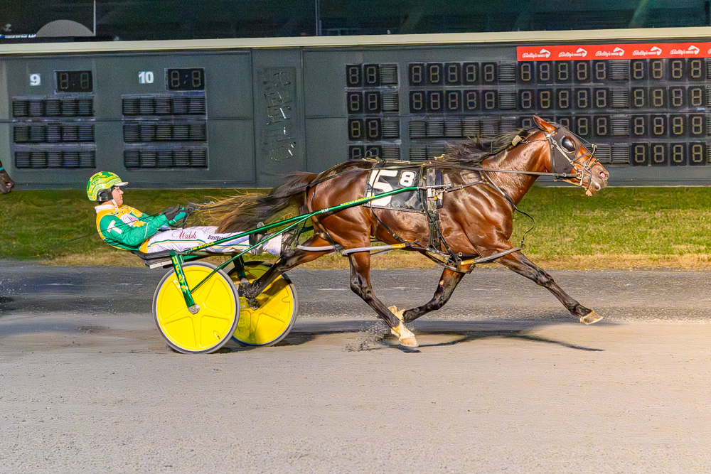 Tim Tetrick DSBF Final: Watch Em Win wraps up series sweep