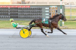 2-year-old pacing colt, Watch Em Win, competing in Delaware Standardbred Breeders' Fund series, wearing a green saddlebag with the #4.