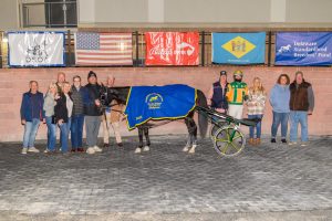 Wolfpack One, driven by Troy Beyer, earned a win Monday as an 11-1 shot.