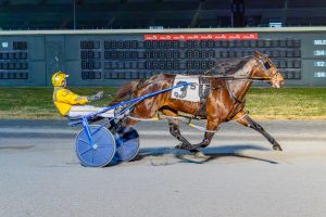 Bella Artiste has won 12 of her 24 career starts.