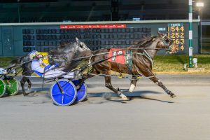 Bobby's Grace paid $11.40 to win as the 9-2 second choice on Wednesday.