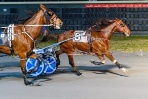 Primo Maschio, driven by Trae Porter, won in 1:52.3 on Thursday at Bally's Dover.
