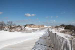 Snow covers the dunes at Cape Henlopen State Park. Residents and visitors are prohibited from sledding or snowboarding on the dunes