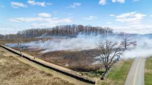 A controlled burn at Brandywine Creek in March 2024 helped clear a meadow for native plants and wildlife habitat.