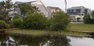 Floating wetland planters line a residential canal in South Bethany as part of a Community Water Quality Improvement Grant project.