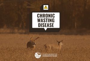 An alert graphic showing two white-tailed deer in a field beneath a warning icon and the words “Chronic Wasting Disease,” with the Delaware Department of Natural Resources and Environmental Control logo at the bottom.