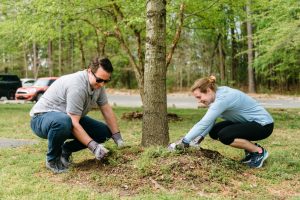 A man and woman help weed around a tree at Killens Pond State Park.