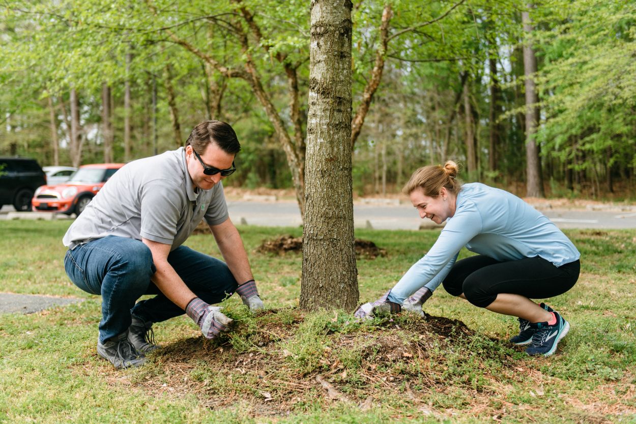 A man and woman help weed around a tree at Killens Pond State Park.