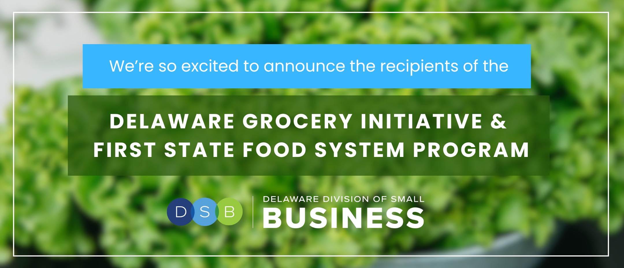 28 Delaware Organizations Receive Grants to Improve Food Access
