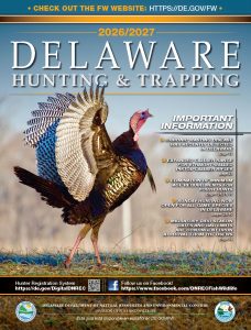 The cover of the 2026/27 Delaware Hunting and Trapping Guide features a photo of a wild turkey by April Doyle submitted for the 2026 DNREC Photo Contest